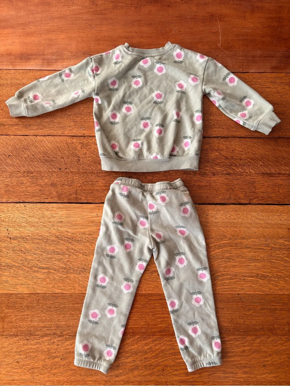 Cat & Jack Green Floral Sweatshirt and Jogger Set - Pink Flowers